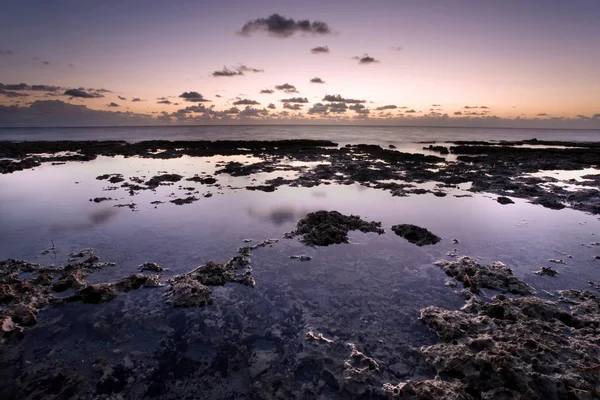 Sunrise costa rocosa — Foto de Stock