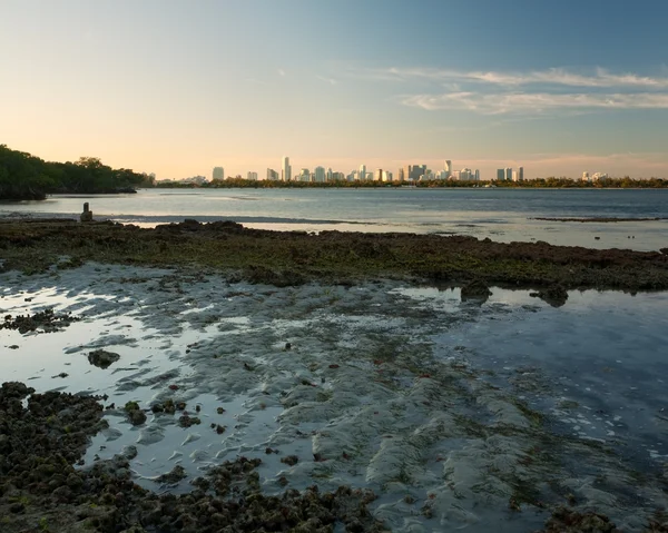 Miami Skyline at Sunset — Stock Photo, Image