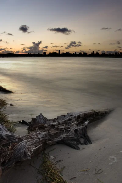 Gün batımında Driftwood — Stok fotoğraf