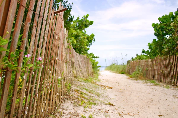 เส้นทางไปยังชายหาดแคริบเบียนที่มีแดด — ภาพถ่ายสต็อก