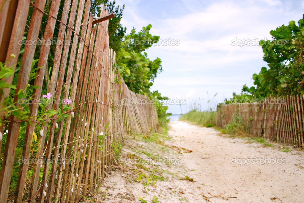 Path to sunny caribbean beach