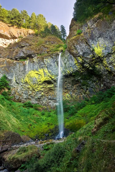 Elowah водоспад в штаті Орегон Ліцензійні Стокові Зображення