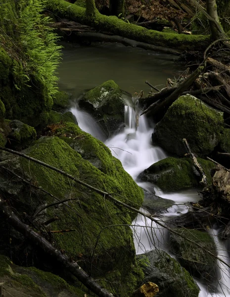 Engebeli uzak orman şelale — Stok fotoğraf