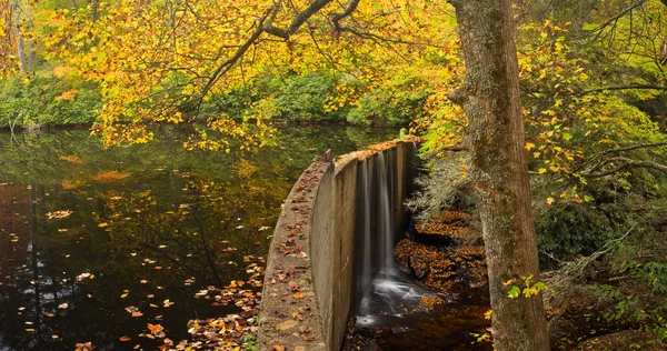 Lago de montaña tranquilo en otoño — Foto de Stock