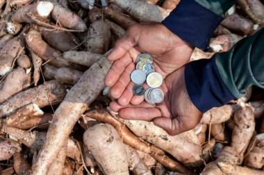 Cassava ve para el tarlasında Thai baht, Manioc ekiminde para satın almak ve satmak için, tapyoka nişasta endüstrisi
