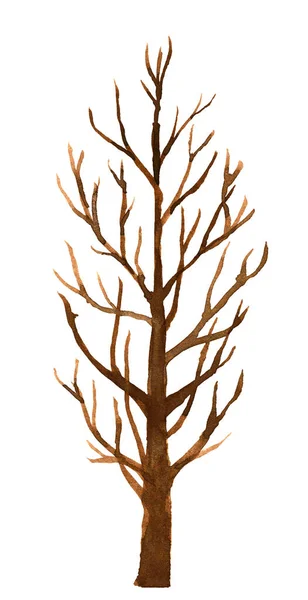 Holé Větve Stromů Akvarel Větve Starého Stromu Holý Strom Akvarel — Stock fotografie