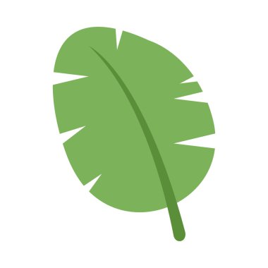 muz yaprakları, muz yaprağı grafiği