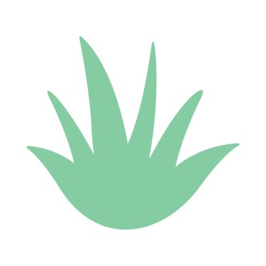 aloe vera basit şekil, aloe vera grafik