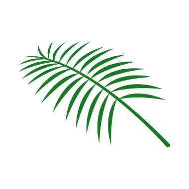 Hindistan cevizi yaprakları, Hindistan cevizi palmiye yaprağı grafiği basit