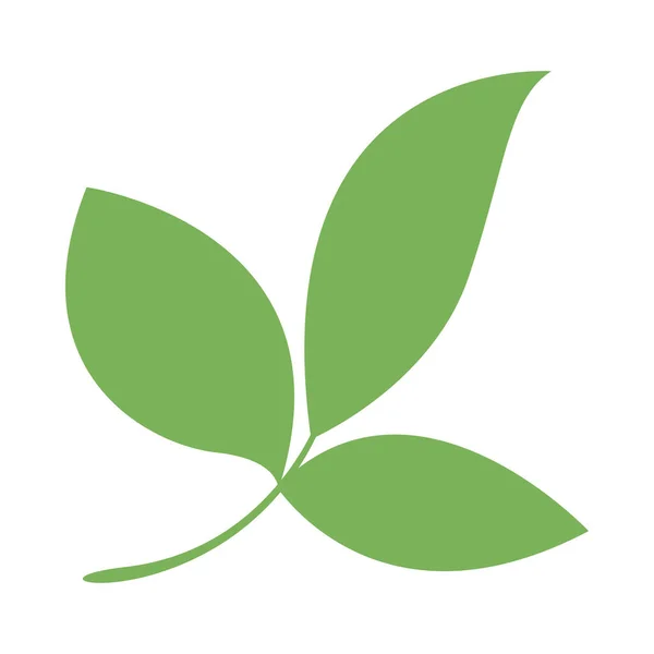 Простые Листья Лист Графический Зеленый Цвет — стоковый вектор