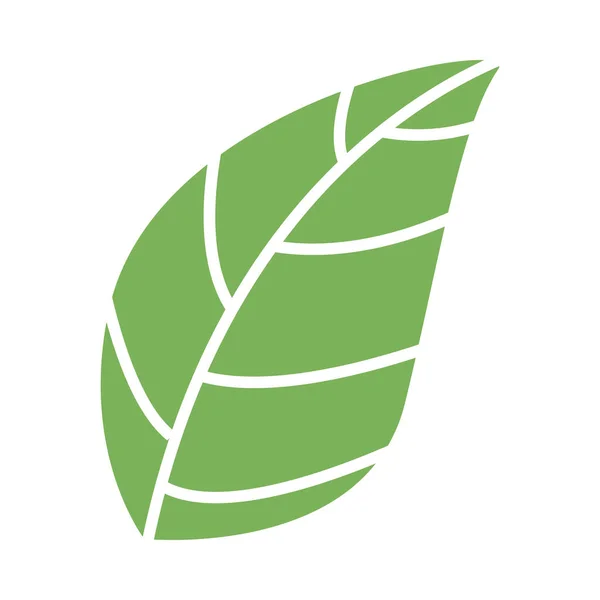 Простые Листья Лист Графический Зеленый Цвет — стоковый вектор