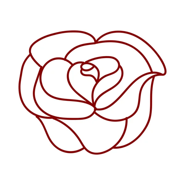 Троянда Простий Контур Троянда Графічна Лінія — стоковий вектор