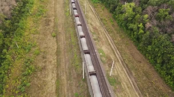 Godståg eller järnvägsvagnståg på järnväg — Stockvideo