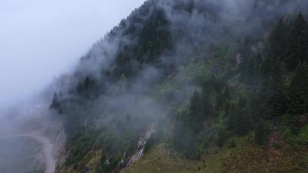 Moody Kísérteties Filmes Erdő Hegyekben Esőben Felhők Köd Borítja Erdő — Stock videók