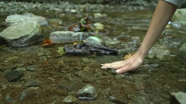 Femme Main Touchant Eau Dans Rivière Lac Forêt Les Gens — Video