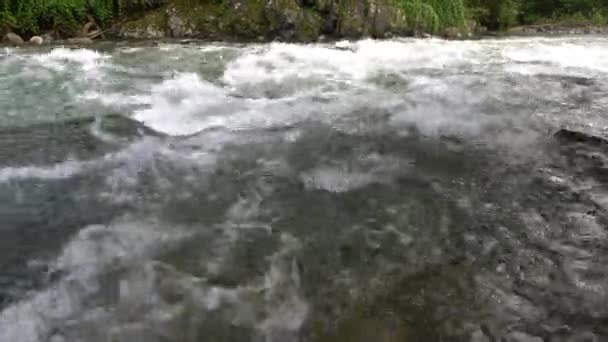 Rio Que Flui Rápido Uma Cadeia Montanhosa Close Pedras Rio — Vídeo de Stock