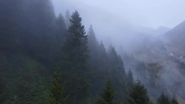Yağmurlu havalarda köknar ağaçlarıyla kaplı sisli dağ manzarası. Dağdaki bulutlar ve sis orman vadisini kaplıyor. Lens üzerine yağmur damlaları