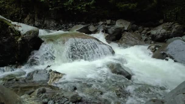 Río Claro Montaña Arroyo Que Fluye Través Rocas Primer Plano — Vídeos de Stock