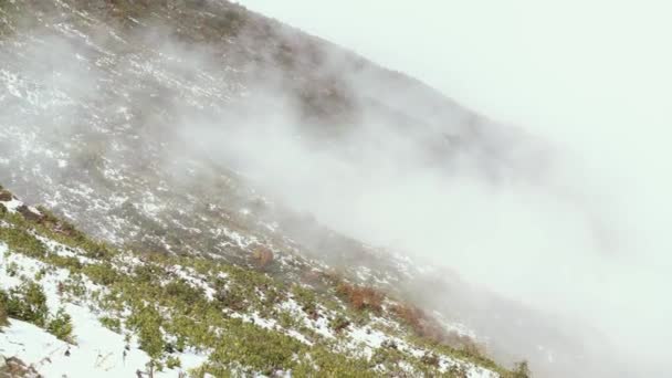 Nubes y niebla en la ladera de la montaña. — Vídeos de Stock