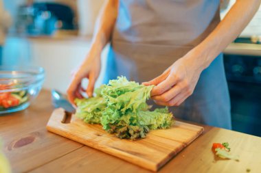Genç bir kadın modern, rahat mutfağın içinde taze sebze salatası kesiyor, sağlıklı bir yemek hazırlıyor.