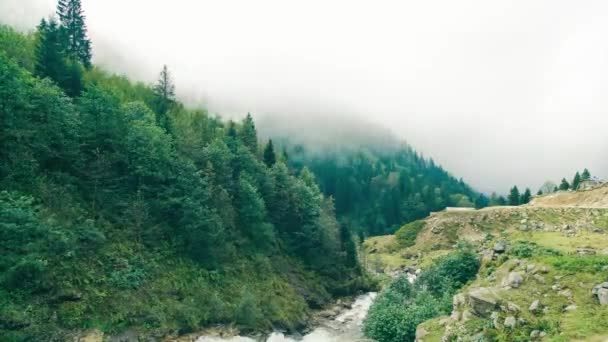 Nebbia di foresta in una valle durante pioggia. — Video Stock