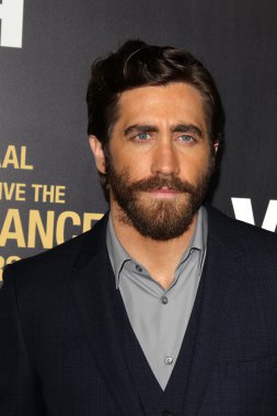 Jake Gyllenhaal