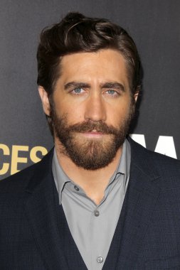 Jake Gyllenhaal