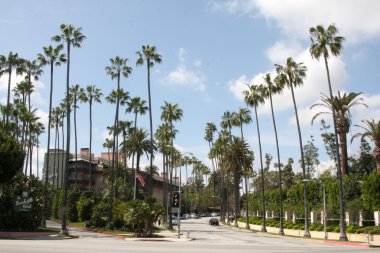 beverly hills otel