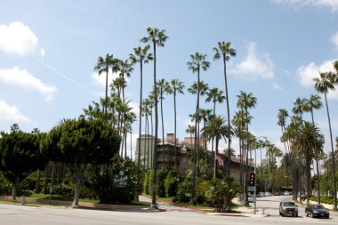 beverly hills otel