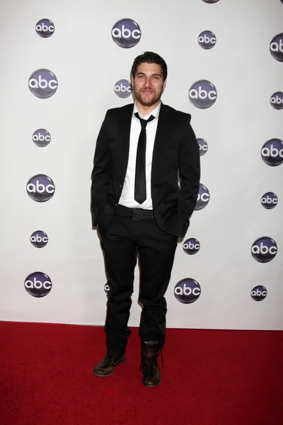 Adam Pally. — Foto de Stock