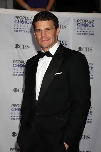 David Boreanaz — Stock Photo, Image