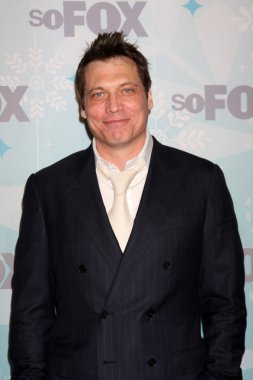 Holt Mccallany