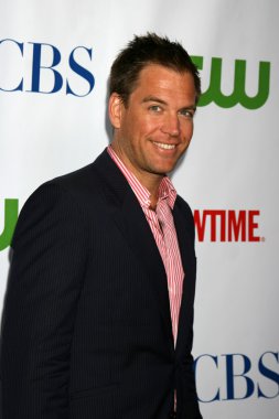 Michael Weatherly'nin