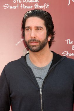 David Schwimmer