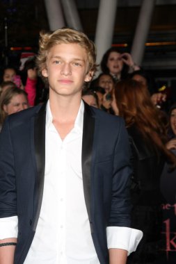 Cody Simpson