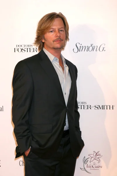 David Spade — Stockfoto