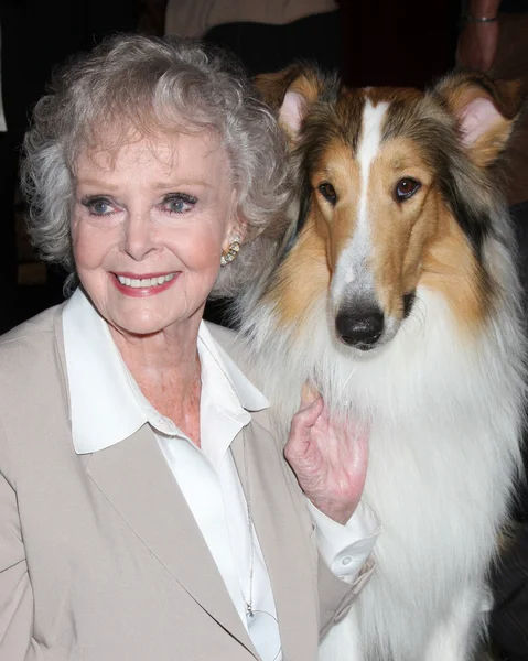 June Lockhart & Lassie — Stock Photo, Image