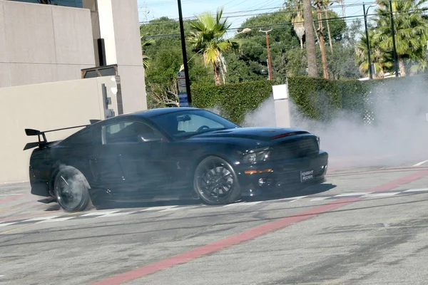 Kitt - 2008 Mustang Shelby Cobra — Zdjęcie stockowe