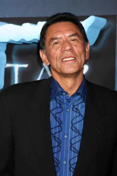 Wes Studi — Stock Photo, Image