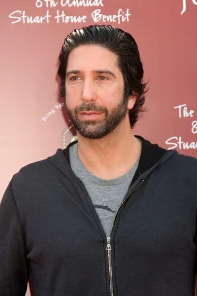 David Schwimmer — Zdjęcie stockowe