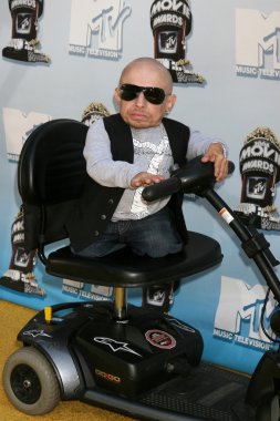 Verne Troyer