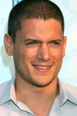 Wentworth Miller