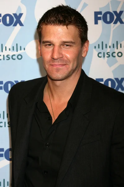 David Boreanaz — Stock Photo, Image