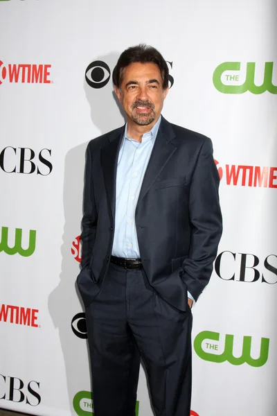 Joe Mantegna. — Foto de Stock