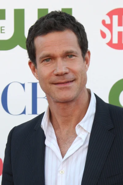 Dylan Walsh — Stockfoto