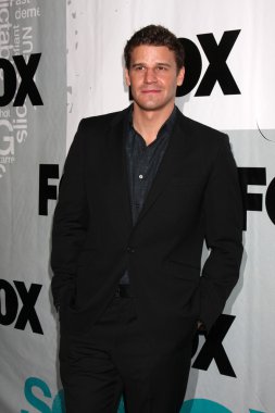 David Boreanaz