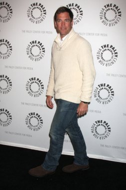 Michael Weatherly'nin