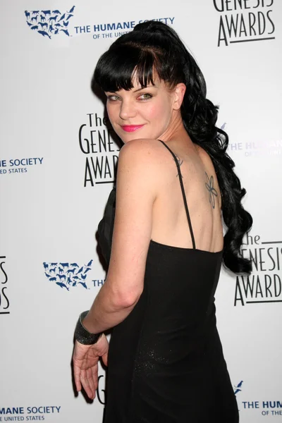 Pauley Perrette — Stock Photo, Image