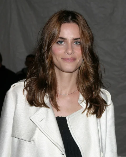 Amanda Peet — Stockfoto