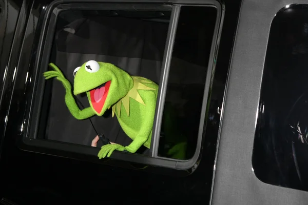 Kurbağa Kermit — Stok fotoğraf